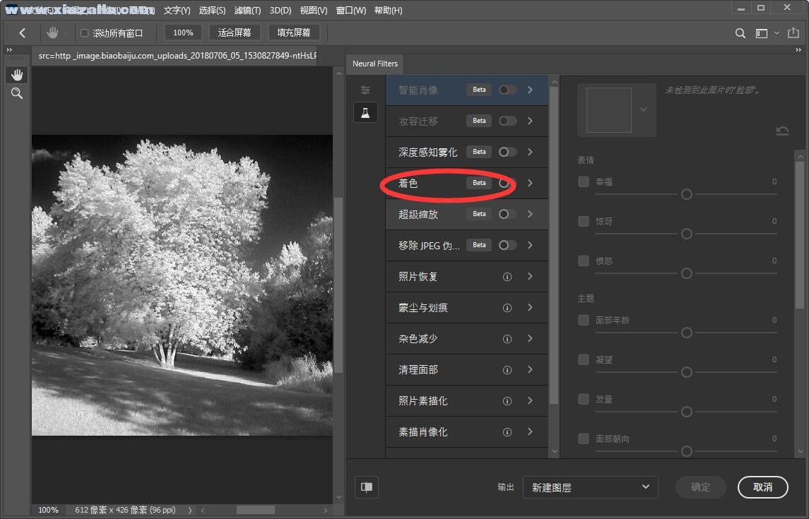 photoshop2021怎么为黑白照片上色？ps2021黑白照片变彩色教程