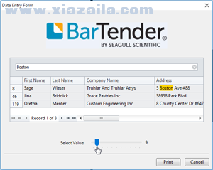 BarTender 2022 R7 11.3.209432 download the last version for mac