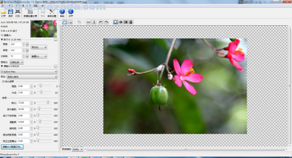 PhotoZoom Pro 6(图片无损放大软件)(8)