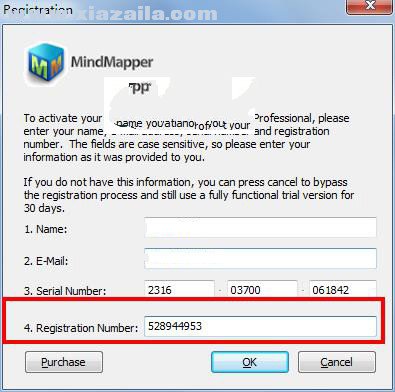 MindMapper2009专业版
