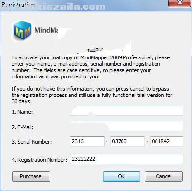 MindMapper2009专业版