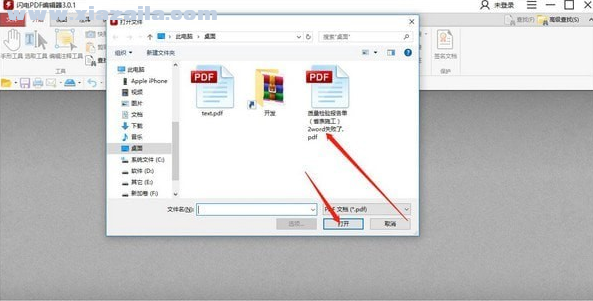 闪电PDF编辑器(3)