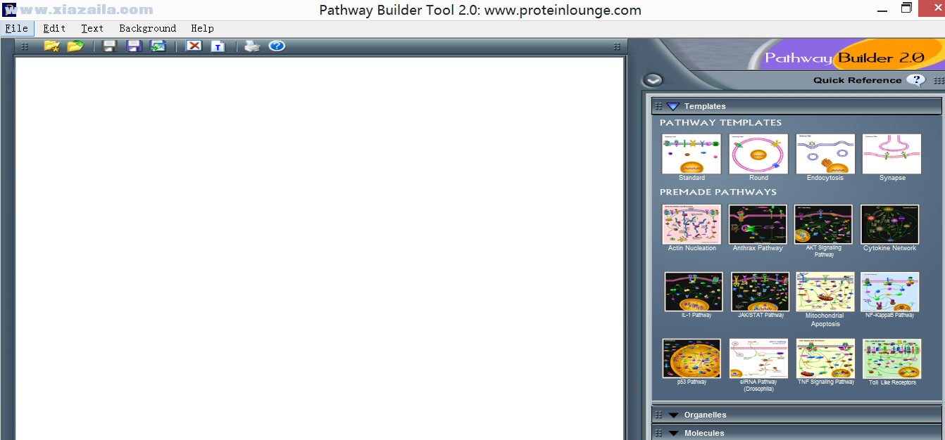 Pathway Builder Tool(信号通路作图软件) v2.0