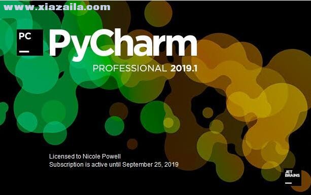 PyCharm Professional2019.2.1