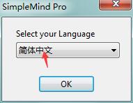 SimpleMind Pro(思维导图) v1.30.0中文版
