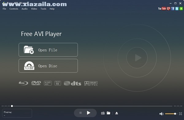 Free AVI Player(AVI播放器) v6.6.10官方版