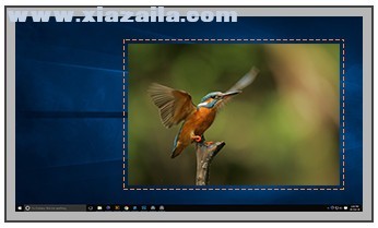 TweakShot Screen Capture(视频录像软件) v1.0.0.10024官方版