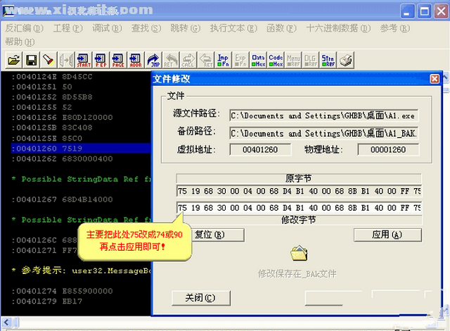 W32Dasm(反汇编软件) v9.0汉化中文版