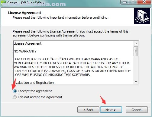 DB2LobEditor(db2数据库编辑工具) v2.9官方版