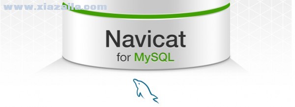 Navicat for MySQL(MySQL数据库管理工具)(14)