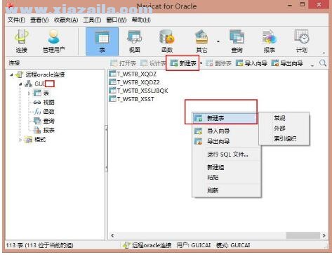 Oracle数据库管理工具(Navicat for Oracle) v16.0.14.0中文版