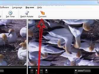 4dots Video Rotator and Flipper(视频旋转软件) v3.6官方版