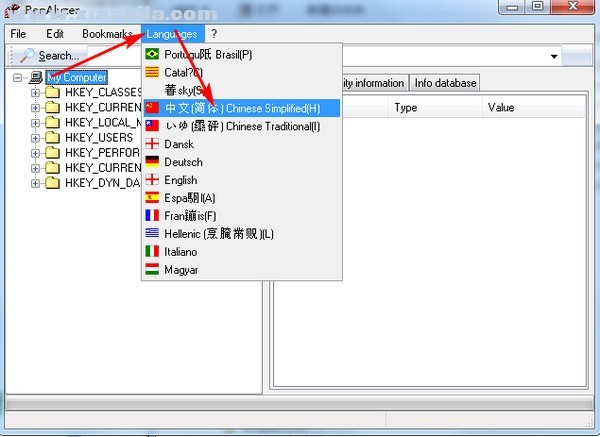 RegAlyzer(注册表编辑器) v1.1中文版
