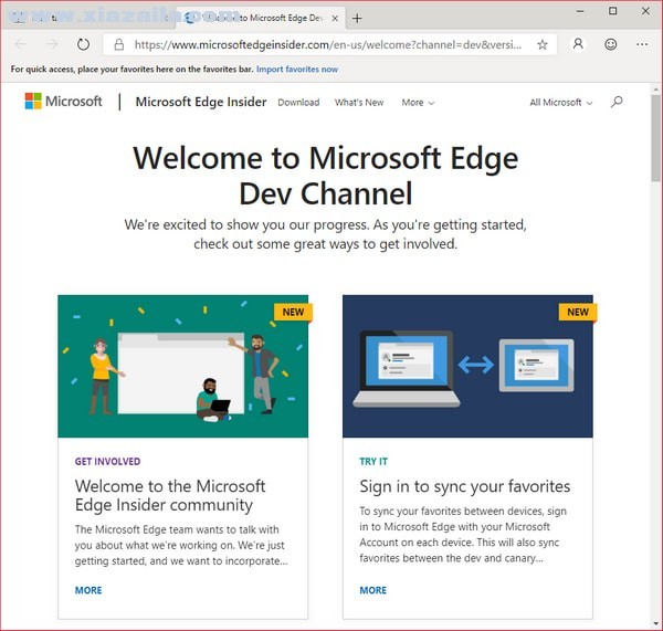 Microsoft Edge Dev v92.0.891.1官方Dev版