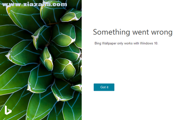 Bing Wallpaper(必应壁纸工具) v2.0.0.0官方版