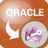 OracleToAccess(Oracle转Access工具)