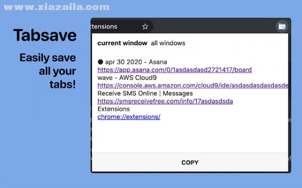 Tabsave(Chrome快速保存标签页插件)(1)