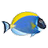 Sim AQUARIUM 2(鱼缸屏保软件)v2.6d官方版