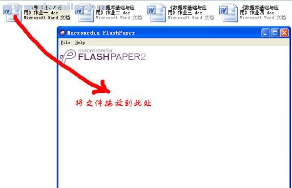 FlashPaper(文档转换软件) v2.2终极汉化版