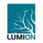 Lumion LiveSync(实时可视化插件)