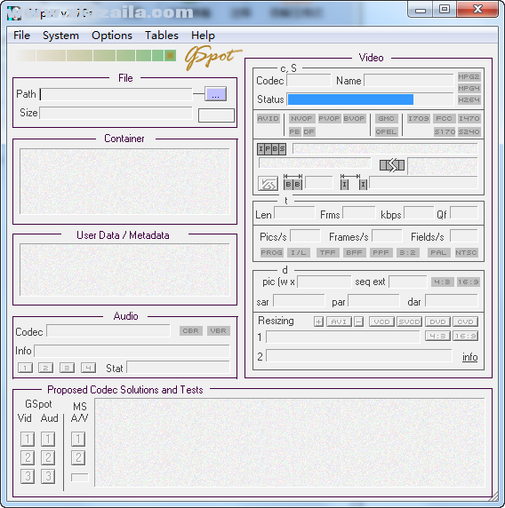 GSpot(编码检测器) v2.70官方版