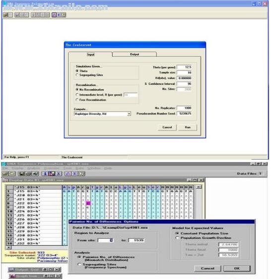 DnaSP(DNA类比分析软件) v5.10.01官方版