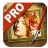 JixiPix Artista Impresso Pro(滤镜优化软件)