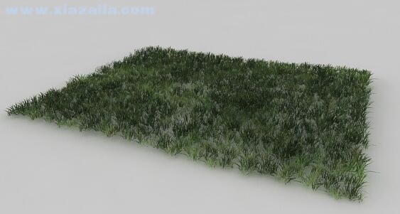 3dmax草坪模型 免费版