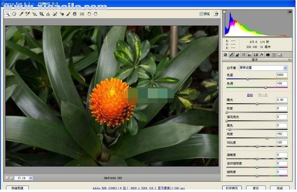 camera raw(raw文件编辑软件) v7.1中文版