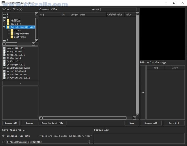Quick Dicom batch editor(DICOM标签浏览编辑器) v20210103免费版