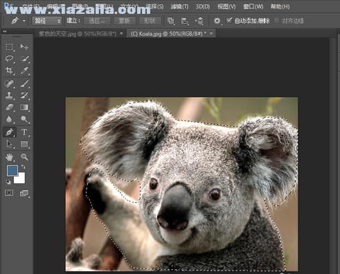 广捷居Adobe Photoshop 7.0 迷你中文版