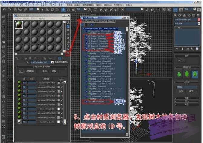 TreeStorm for 3dsMax(树木植被插件) 中文版 附使用教程