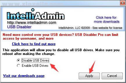Disableusb(USB接口启用禁用工具) 免费版
