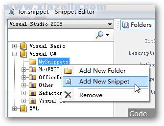 Snippet Editor(VS代码编辑器)(4)