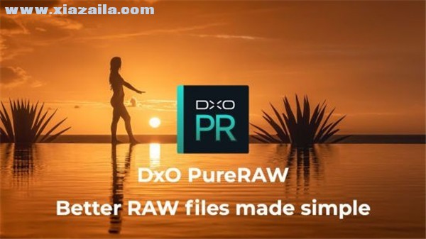 DxO PureRAW(RAW图像处理软件) v1.1官方版