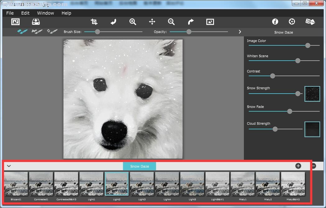 Snow Daze(照片雪景效果添加软件) v1.20官方版