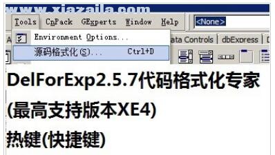 DelForExp(Delphi源代码格式化插件) v2.6.0免费版