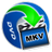 iOrgSoft DVD to MKV Converter(dvd视频转换工具)