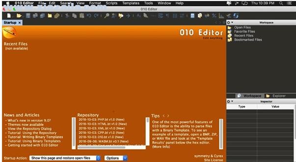 SweetScape 010 Editor for Mac(十六进制编辑器) v10.0.1