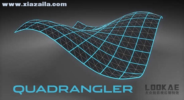 Quadrangler(C4D四边形布线优化插件) v1.0免费版