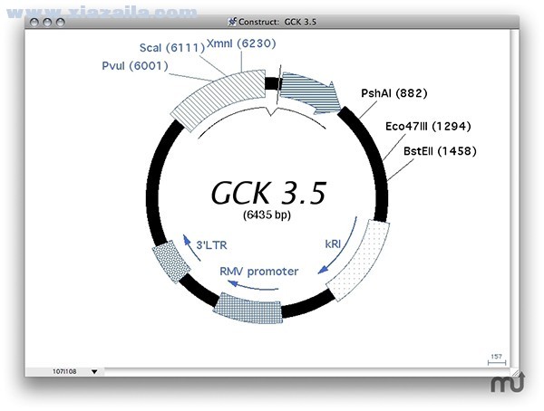 Gene Construction Kit for Mac(医学软件) v4.5.1