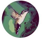 Hummingbird for Mac(窗口管理软件)