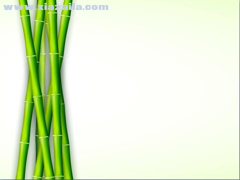 翠绿竹子背景PPT模板 免费版