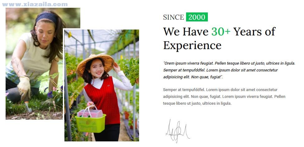 绿色鲜花花艺公司网站模板 免费版
