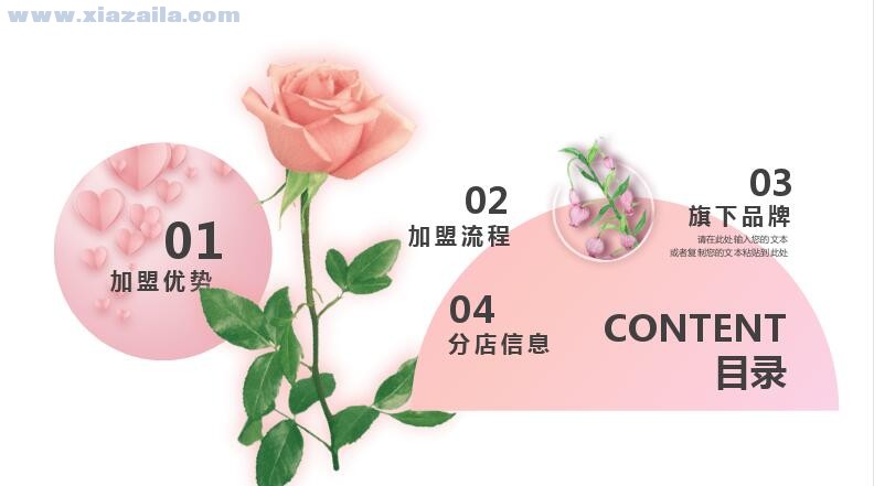 粉色清新鲜花预定项目介绍PPT模板(3)