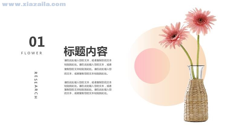 粉色清新鲜花预定项目介绍PPT模板(1)