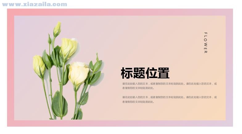 粉色清新鲜花预定项目介绍PPT模板(7)