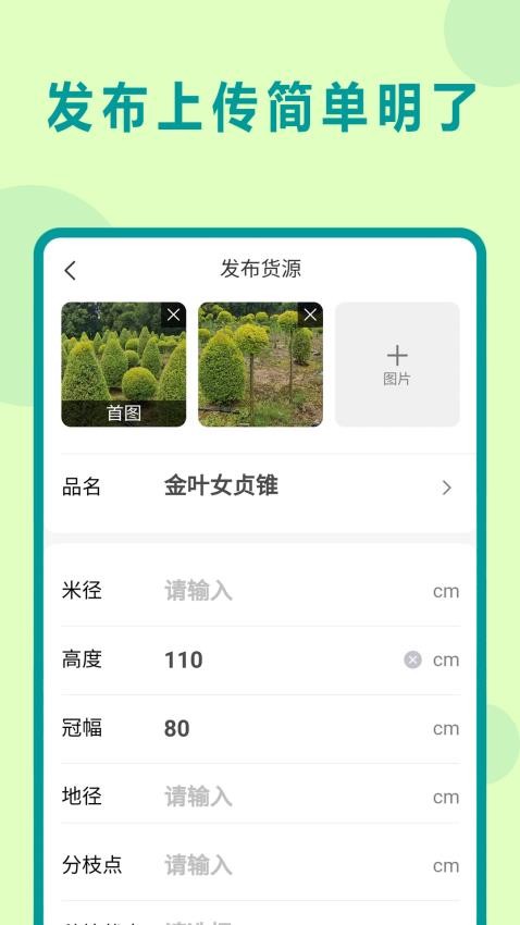 苗青青v2.0.04(4)